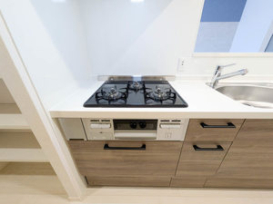 Ｓｈａｍａｉｓｏｎ　Ｃｉｅｌ 0101号-13