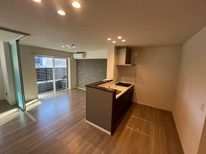 Ｓｈａｍａｉｓｏｎ　Ｎｏｉｒ 0101号-3