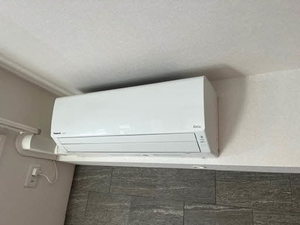 Ｓｈａｍａｉｓｏｎ　Ｎｏｉｒ 0101号-7