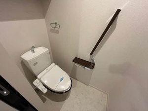 Ｓｈａｍａｉｓｏｎ　Ｎｏｉｒ 0101号-8