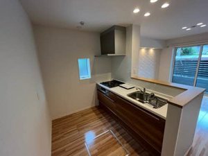 Ｓｈａｍａｉｓｏｎ　Ｎｏｉｒ 0103号-3