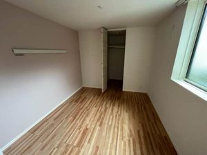 Ｓｈａｍａｉｓｏｎ　Ｎｏｉｒ 0103号-6