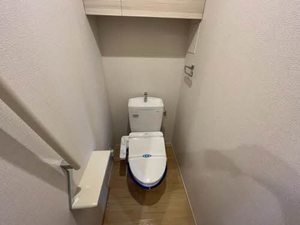 Ｓｈａｍａｉｓｏｎ　Ｎｏｉｒ 0103号-10