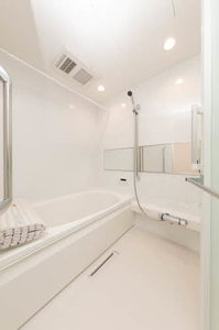 ＳｈａＭａｉｓｏｎ　Ｌａ　Ｎａｕａｇｅ 0203号-8