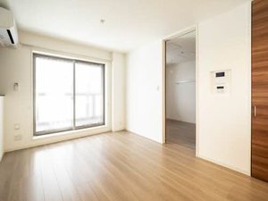 Ｓｈａｍａｉｓｏｎ　Ｃｉｔｒｕｓ 0401号-2