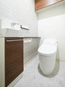 Ｓｈａｍａｉｓｏｎ　Ｃｉｔｒｕｓ 0401号-8