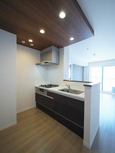 レジデンス紅葉ヶ丘 0302号-9