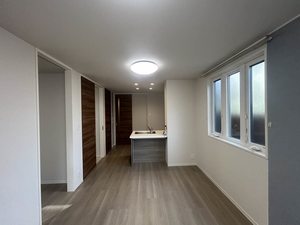 シャーメゾン　梅景 0101号-2