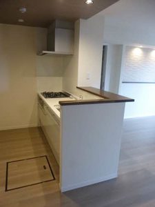 Ｓｈａ　Ｍａｉｓｏｎ　ＮＩＣＡＳＩＯ行基 0101号-3