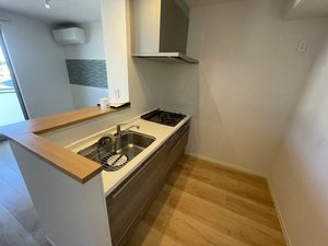 Ｒａｆｆｉｎａ　Ｓａｗａ 0201号-3