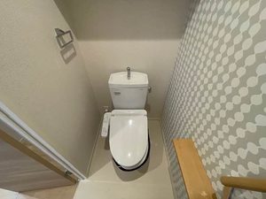 Ｒａｆｆｉｎａ　Ｓａｗａ 0201号-7