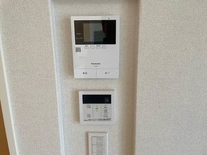 Ｒａｆｆｉｎａ　Ｓａｗａ 0201号-9