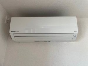 Ｒａｆｆｉｎａ　Ｓａｗａ 0201号-10