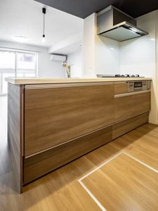 シャーメゾン北山上賀茂 0102号-9