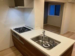 Ｎｅｓｔ 0101号-4