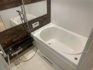 Ｍａｉｓｏｎ　ｄｅ　ｌｕｘｅ 0101号-10