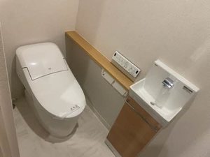 Ｍａｉｓｏｎ　ｄｅ　ｌｕｘｅ 0101号-11