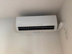 Ｍａｉｓｏｎ　ｄｅ　ｌｕｘｅ 0102号-12