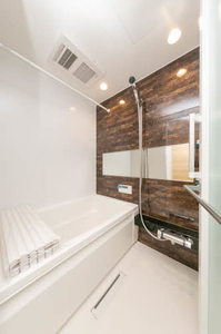 Maison de luxe 0201号-8