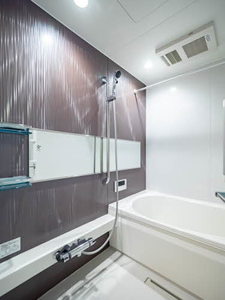 Ｐｌａｃｉｄｅ　Ｋ 0307号-7