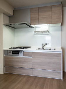 Ｐｌａｃｉｄｅ　Ｋ 0307号-8