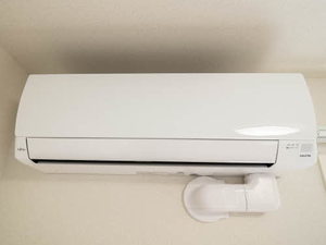 Ｐｌａｃｉｄｅ　Ｋ 0307号-10