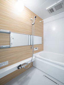 Ｔｒｉｍ　Ｐｌｕｓ　Ⅱ　ｍｉｎａｍｉｉｂａｒａｋｉ 0101号-7