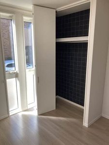 ＳｈａＭａｉｓｏｎ　丹波橋ｉｎ桃山 0103号-9