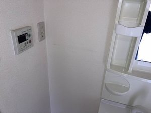 ピノハイツビス 0203号-10