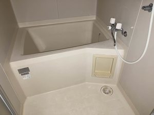 ピノハイツビス 0203号-11