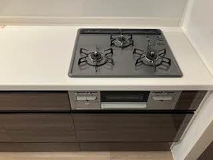 ＳｈａＭａｉｓｏｎ　Ｐｒｅｍｉｅｒ　ＣＹＰＲＥＳＳ 0202号-7