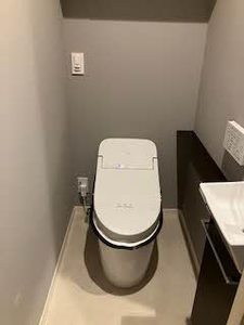 ＳｈａＭａｉｓｏｎ　Ｐｒｅｍｉｅｒ　ＣＹＰＲＥＳＳ 0202号-9