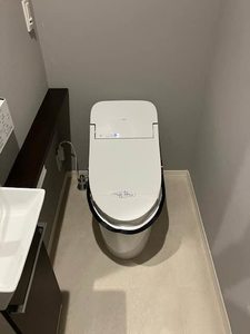 ＳｈａＭａｉｓｏｎ　Ｐｒｅｍｉｅｒ　ＣＹＰＲＥＳＳ 0403号-11