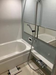 ＳｈａＭａｉｓｏｎ　Ｐｒｅｍｉｅｒ　ＣＹＰＲＥＳＳ 0405号-8