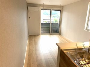 メゾンシュシュ 0207号-3