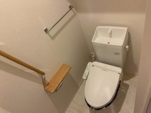 メゾンシュシュ 0203号-7