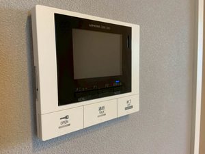 メゾンシュシュ 0203号-11