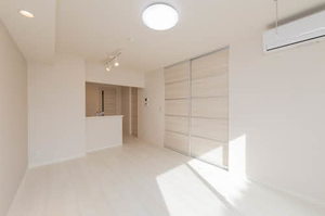 スカイヴィラ聖徳 0103号-2