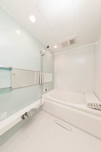 スカイヴィラ聖徳 0103号-8