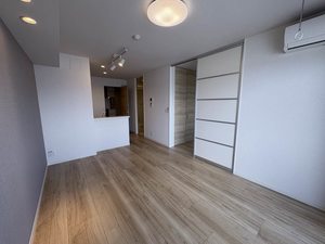 スカイヴィラ聖徳 0303号-2