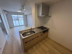 スカイヴィラ聖徳 0303号-3