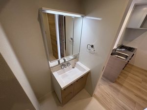 スカイヴィラ聖徳 0303号-5