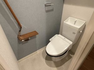 アンビシア 0103号-7