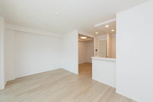 セリーニ　オルニス 1003号-3