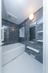 セリーニ　オルニス 1201号-8