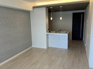 BEREO NANKAIWAKAYAMACITY 0201号-2