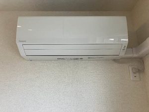 BEREO NANKAIWAKAYAMACITY 0201号-6