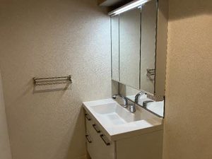 BEREO NANKAIWAKAYAMACITY 0201号-11