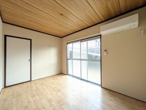 パレコスモス B102号-3