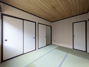 パレコスモス B102号-5